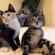 くみこの画像