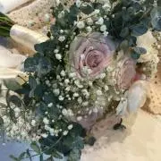 でこたまご