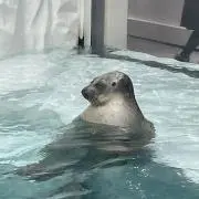 まるの画像