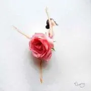 にこの画像