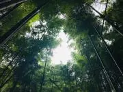 Moriko?の画像