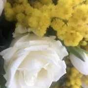 olivefactoryの画像