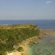 あーるの画像