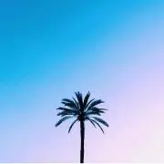 UDonの画像