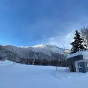 シロロの画像