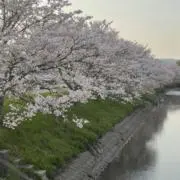 ルル　即購入、匿名配送OK！の画像
