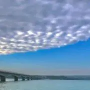 Ponzuの画像
