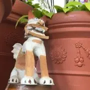 tatsuの画像