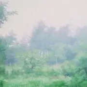 サカナ