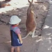 ネギ