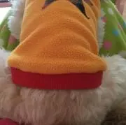 lumoの画像