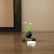 しろくま