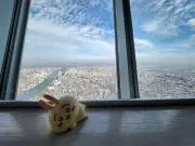 かずまるの画像