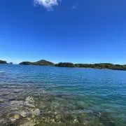 デュークの画像