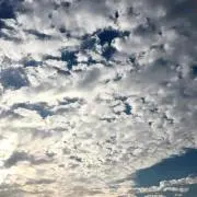 ゆきりん