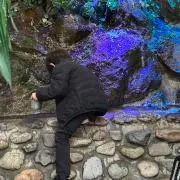 みんみんの画像