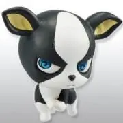 イギー☆