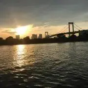 アキの画像