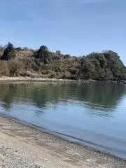たぬの画像