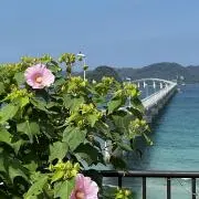 Akirinの画像
