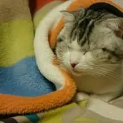 うっひ