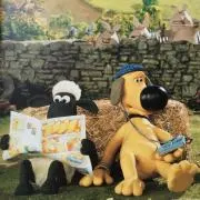 Shaunの画像