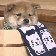 神無月