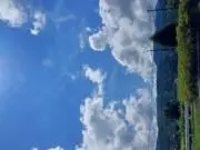 ぽんの画像