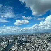 ニコチャンの画像