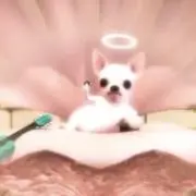 ♩の画像