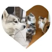 はせりくの画像