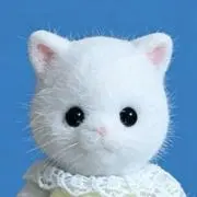 どどの画像