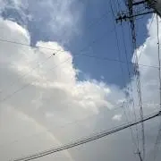 ヨーグルト(まとめ買い値引き)の画像