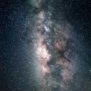 すももの画像