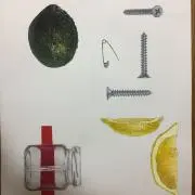 リリィの画像