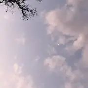 まく