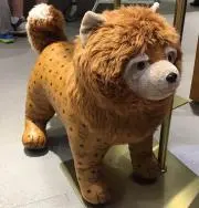 JJ  コメント不要即購入歓迎の画像