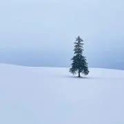 M Rの画像