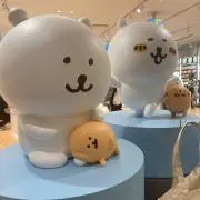 ひめリリの画像