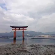 じんじゃー