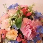 DON【断捨離再開！！！】の画像
