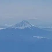 家