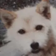 断捨離中のにいぼり☆たろうの画像