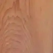 TRINITYの画像