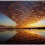 haratの画像
