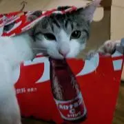ひとみ