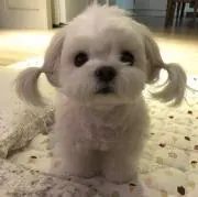 うい