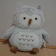 福ちゃんの画像