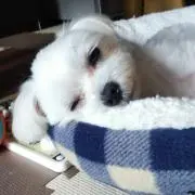 大豆くん