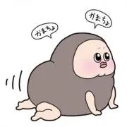 たらおの画像